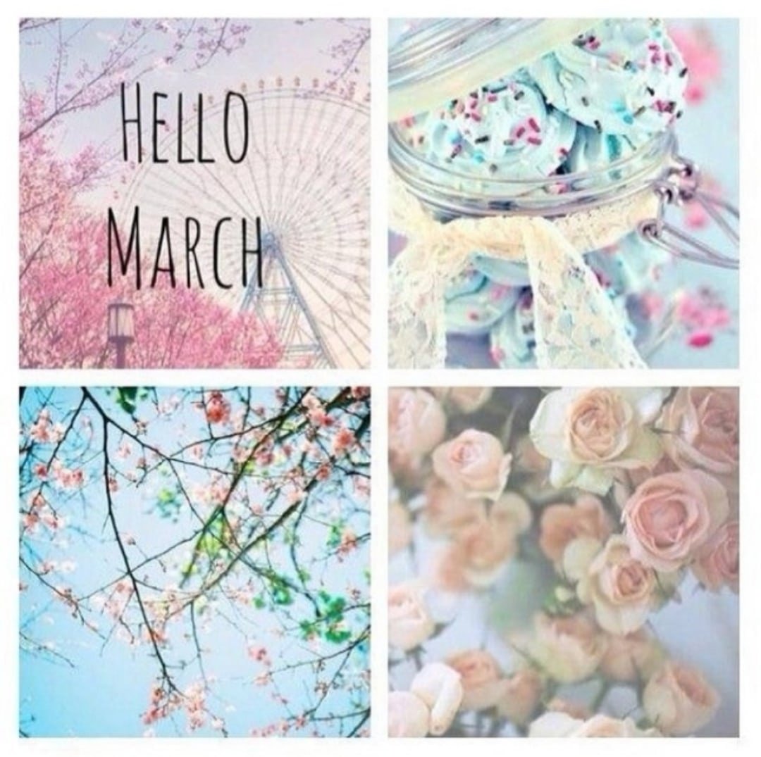 Медведь проснулся