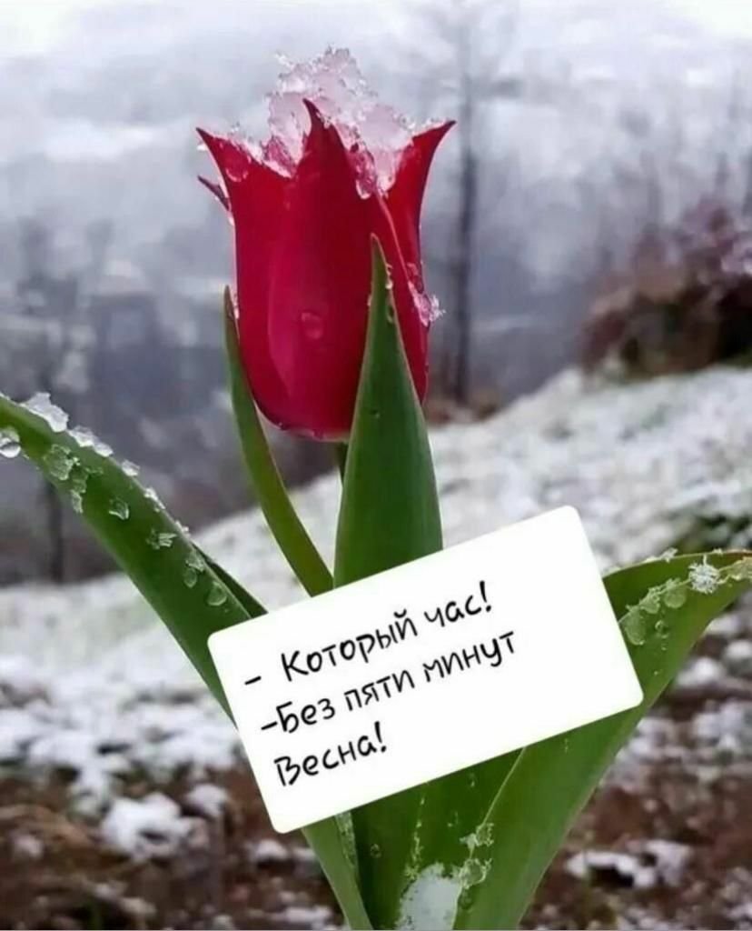 Привет март стильно