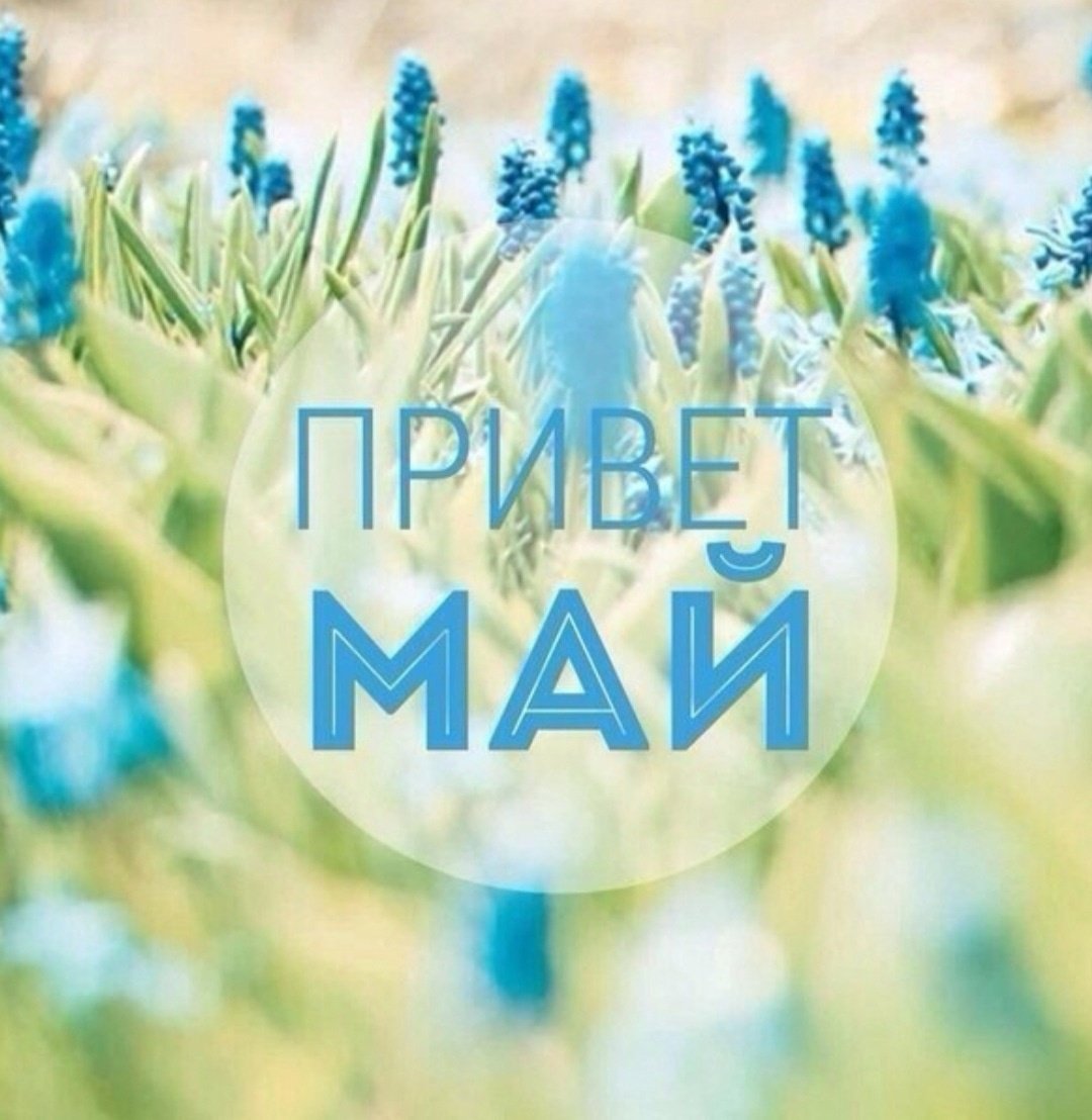 Животные радуются снегу