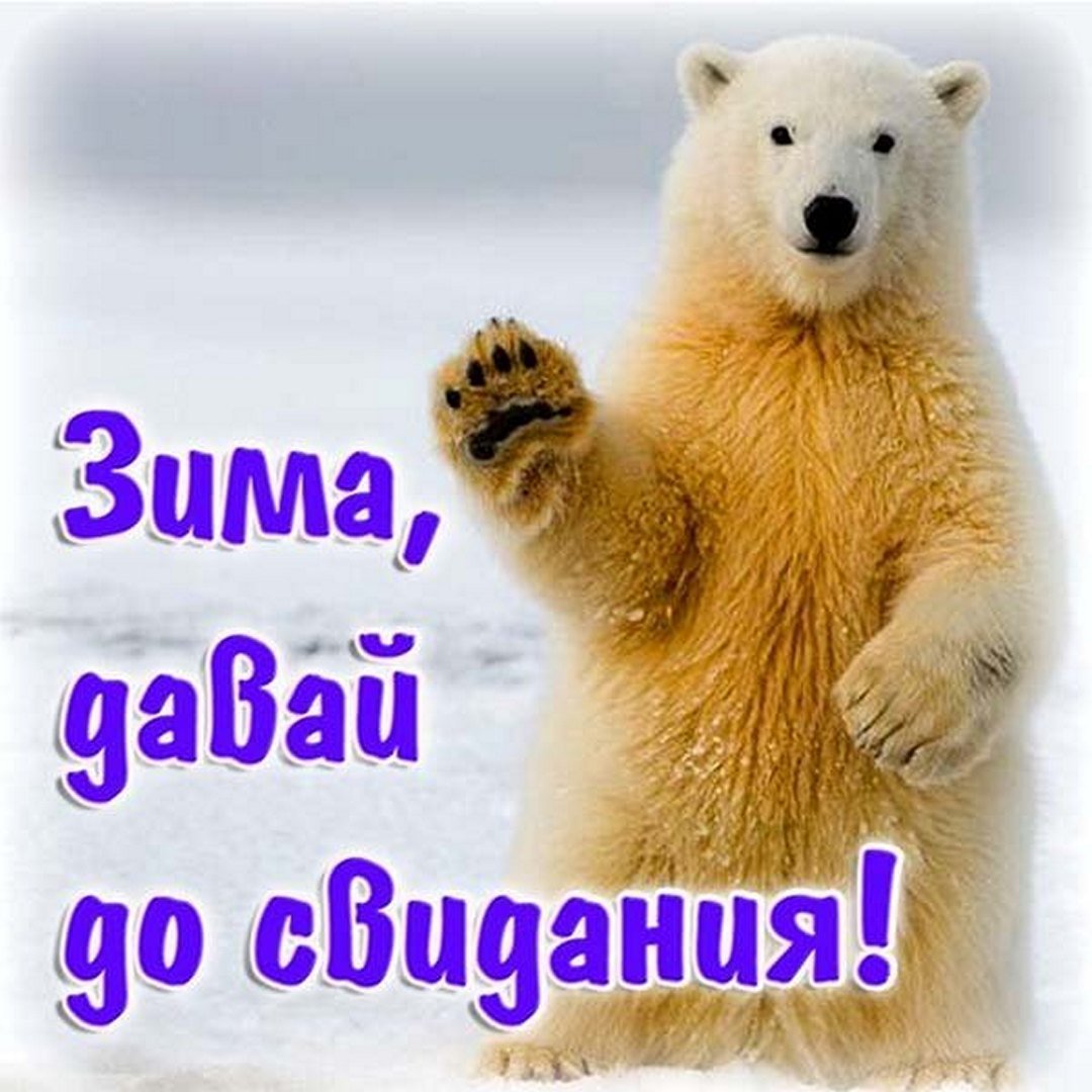 Весна подснежники