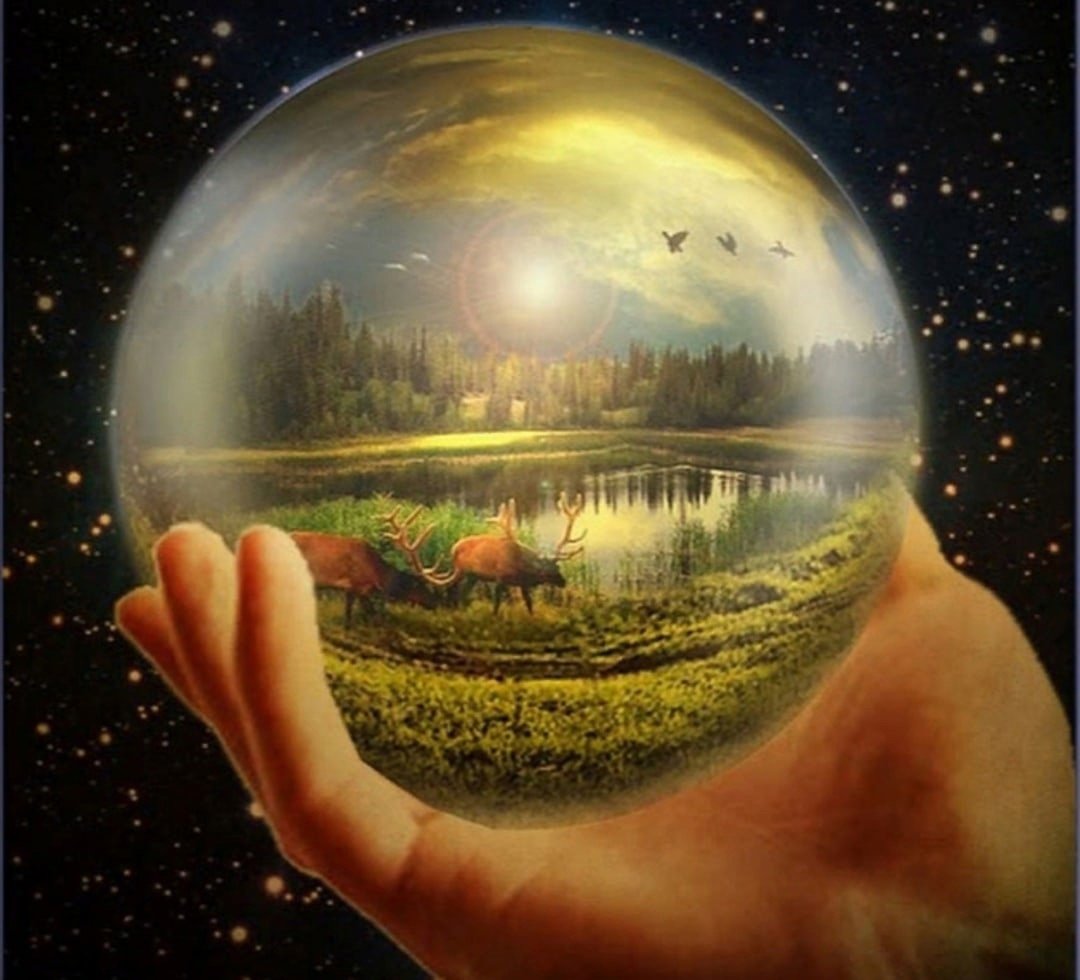 Биосфера земли