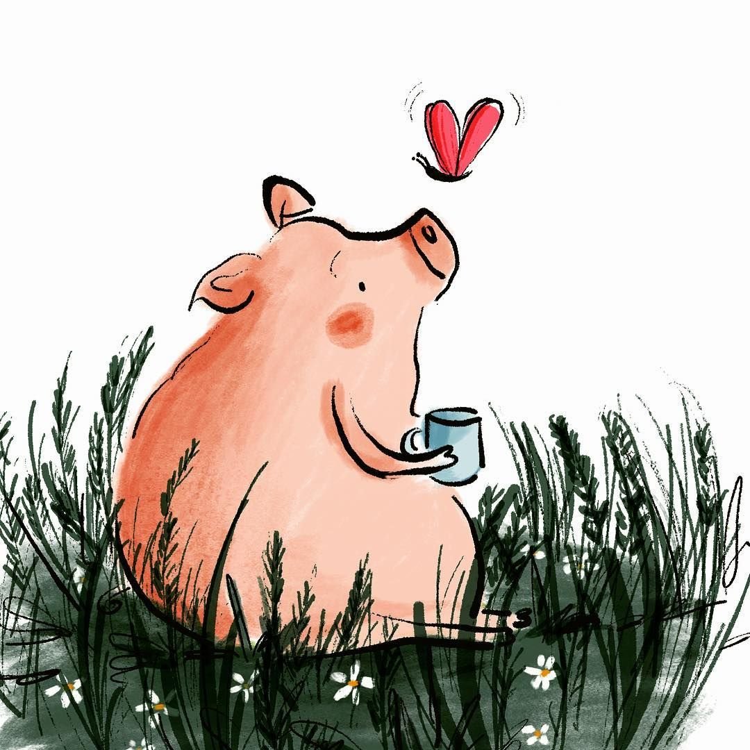 Забавные поросята