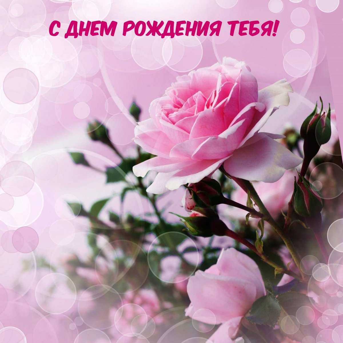 Красивые поздравления с днем рождения