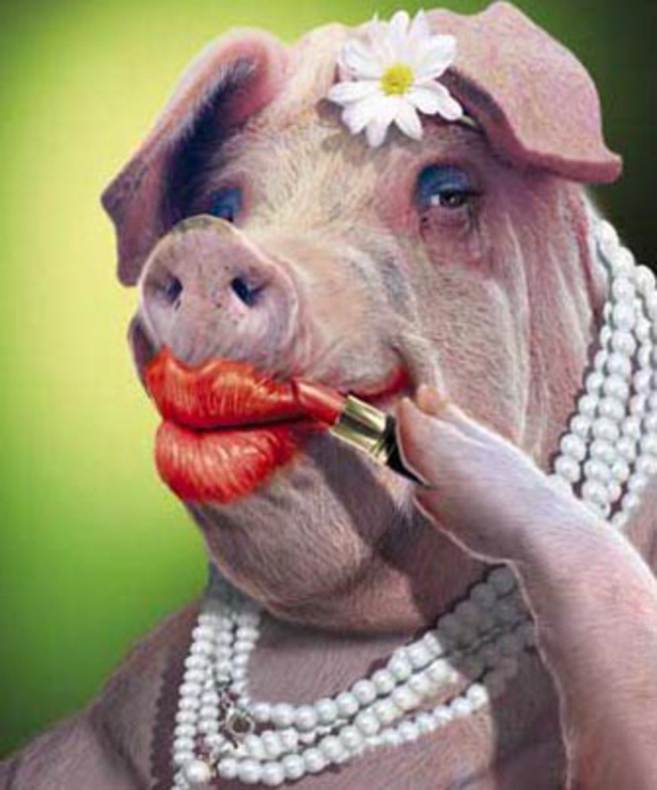 Свинья в туфлях