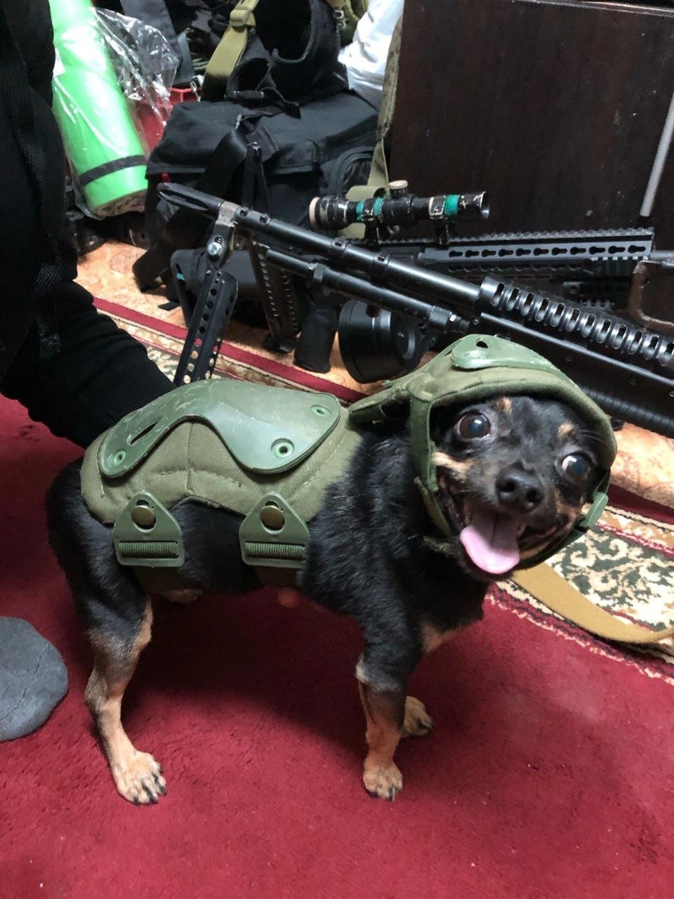 20 Июля день рождения