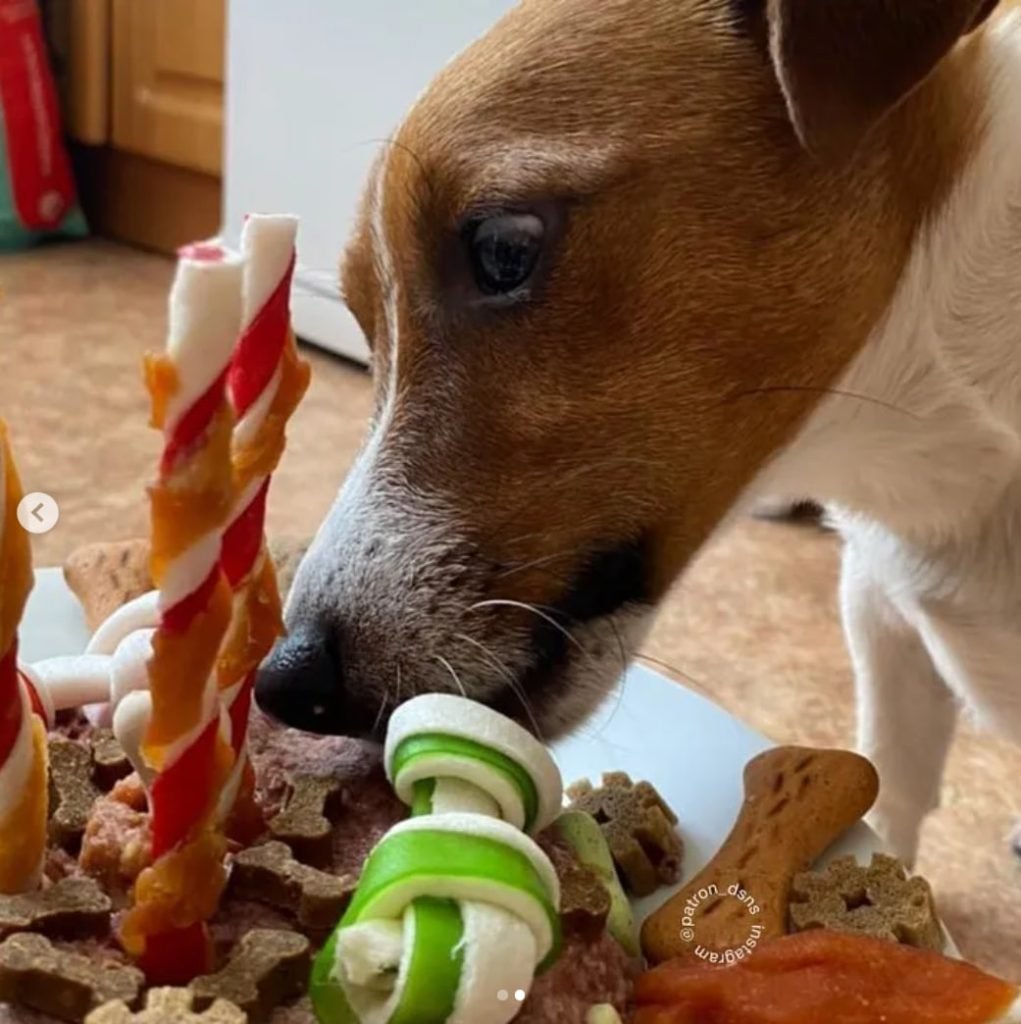 У вас собака служебная