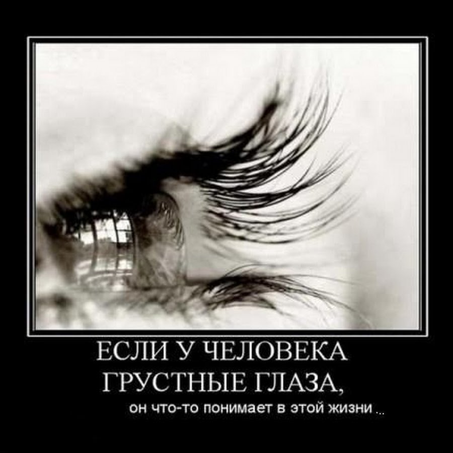 Слезы высказывания