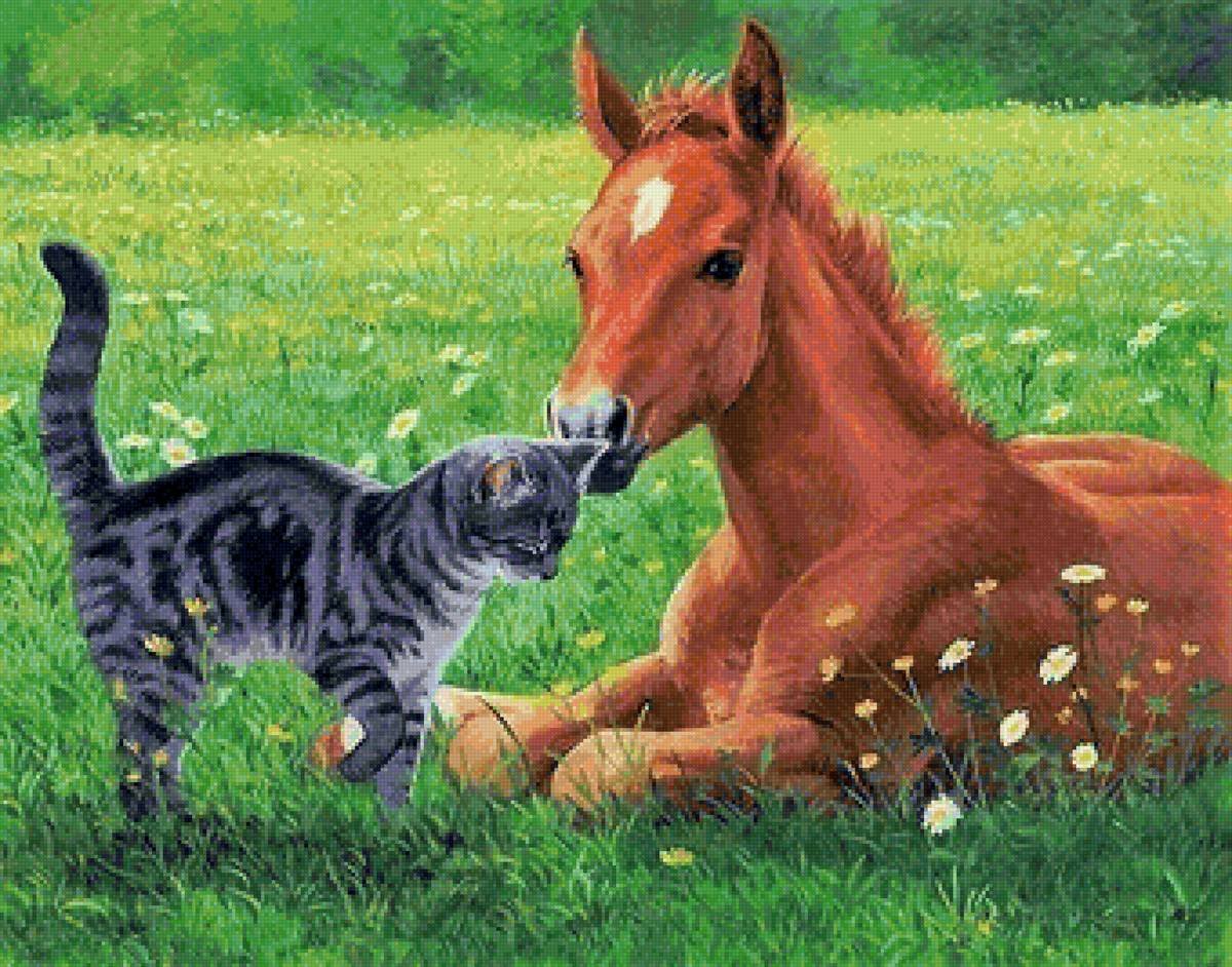 Персис Клейтон Вейерс картины лошадей