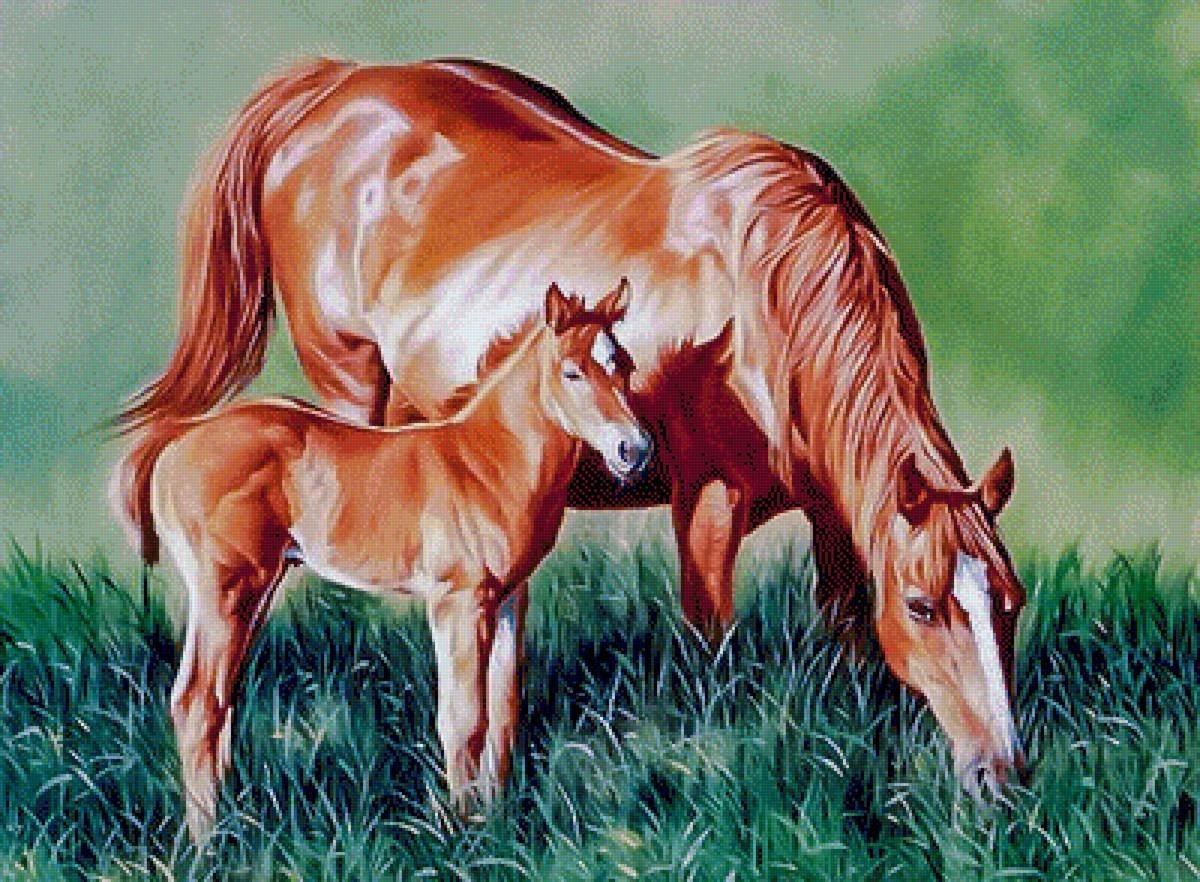 Лошадь с жеребенком мультяшный