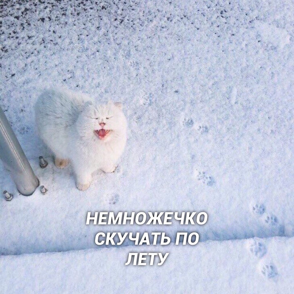 Теплой и радостной весны