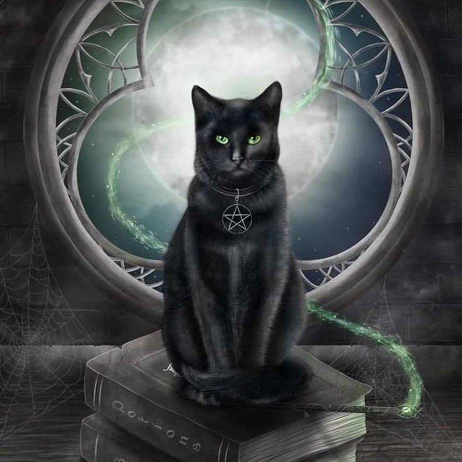Фамильяр ведьмы кот