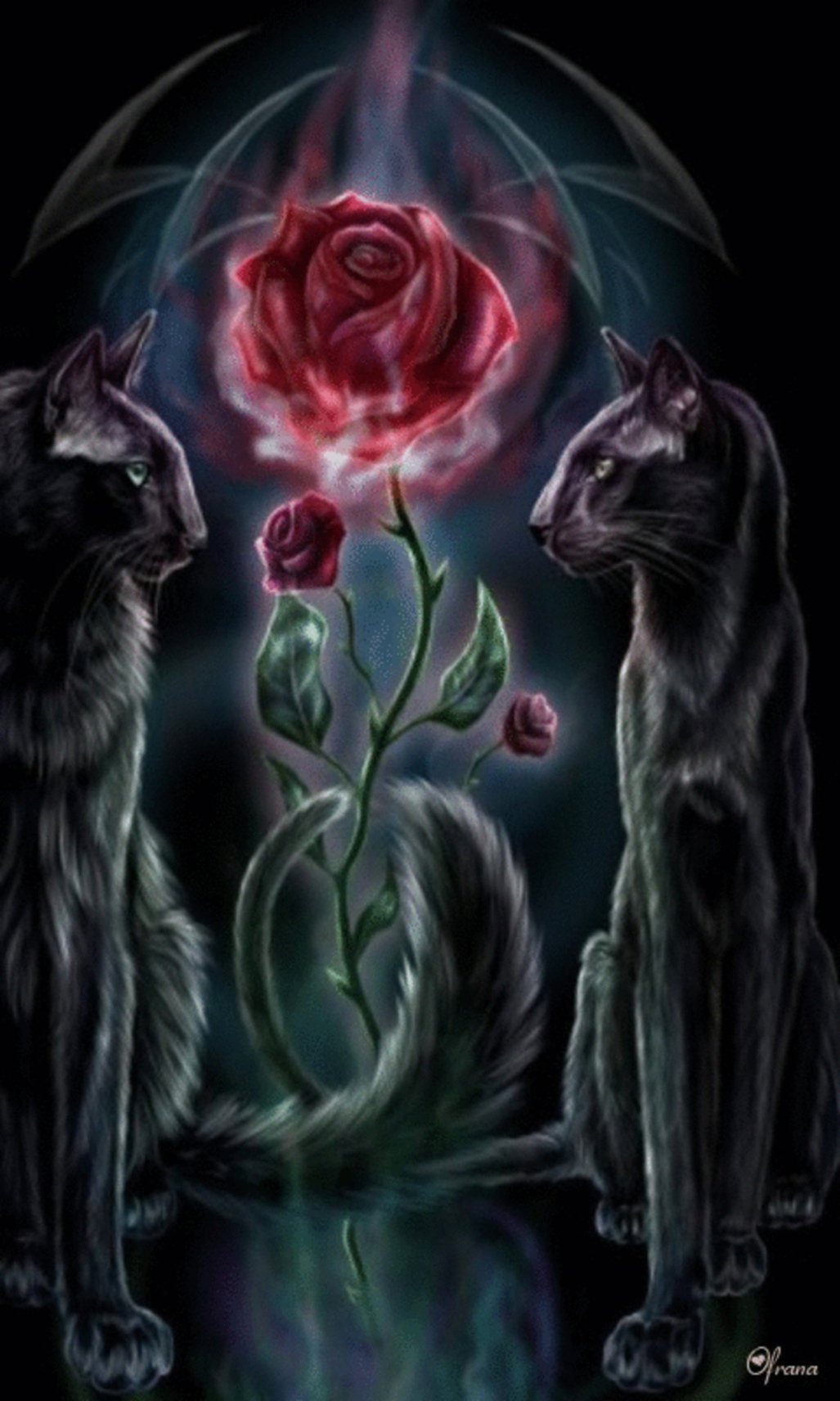 Магические кошки