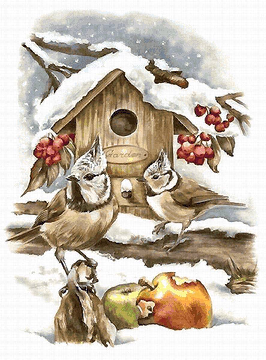 Зимние птицы