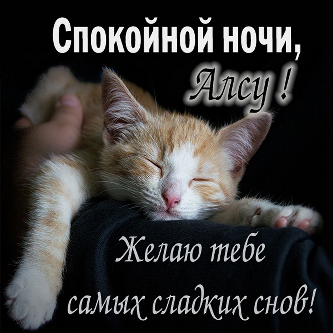 Кот ложится спать