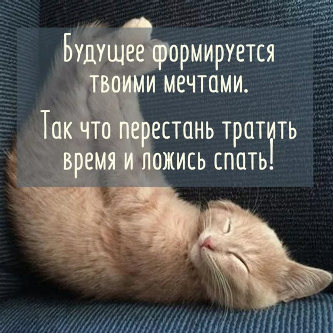 Котенок. Спокойной ночи!