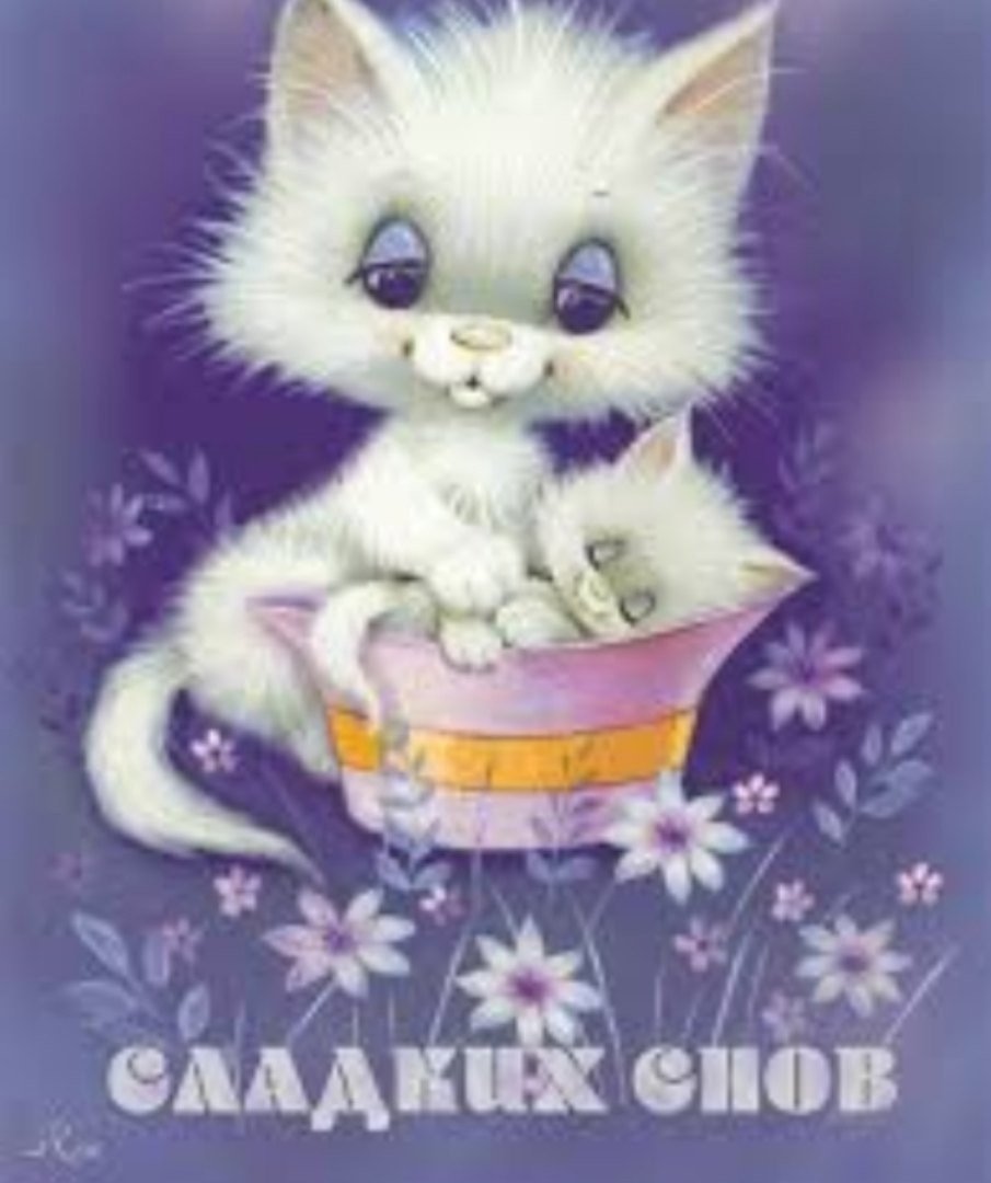 Открытки спокойной ночи до завтра