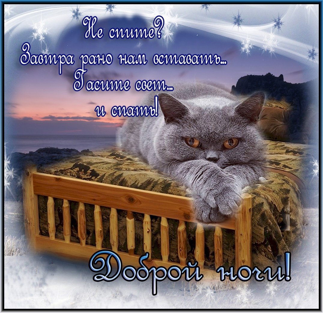 Пушистых снов