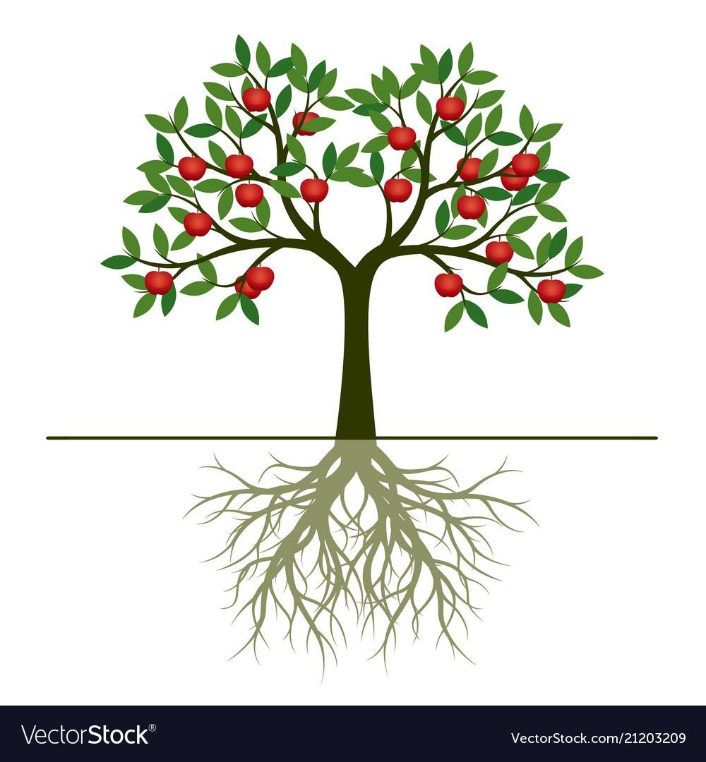 Tree Tree функция