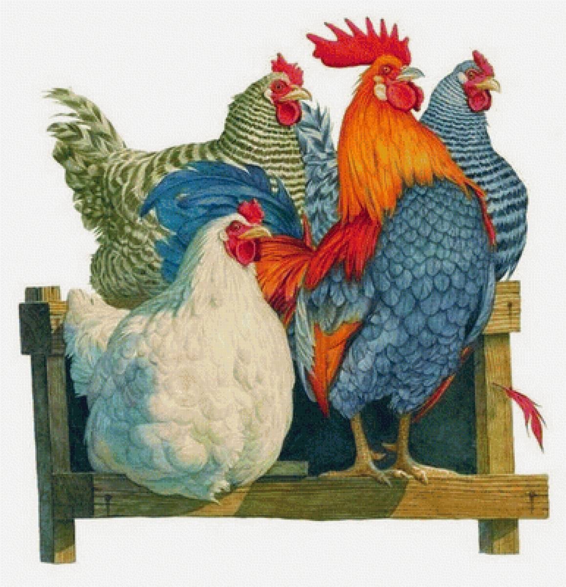 Петух и цыплята