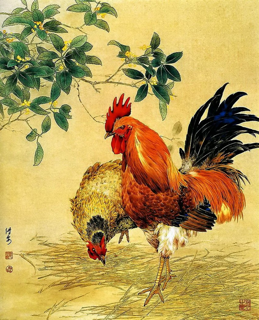 Куры с петухом