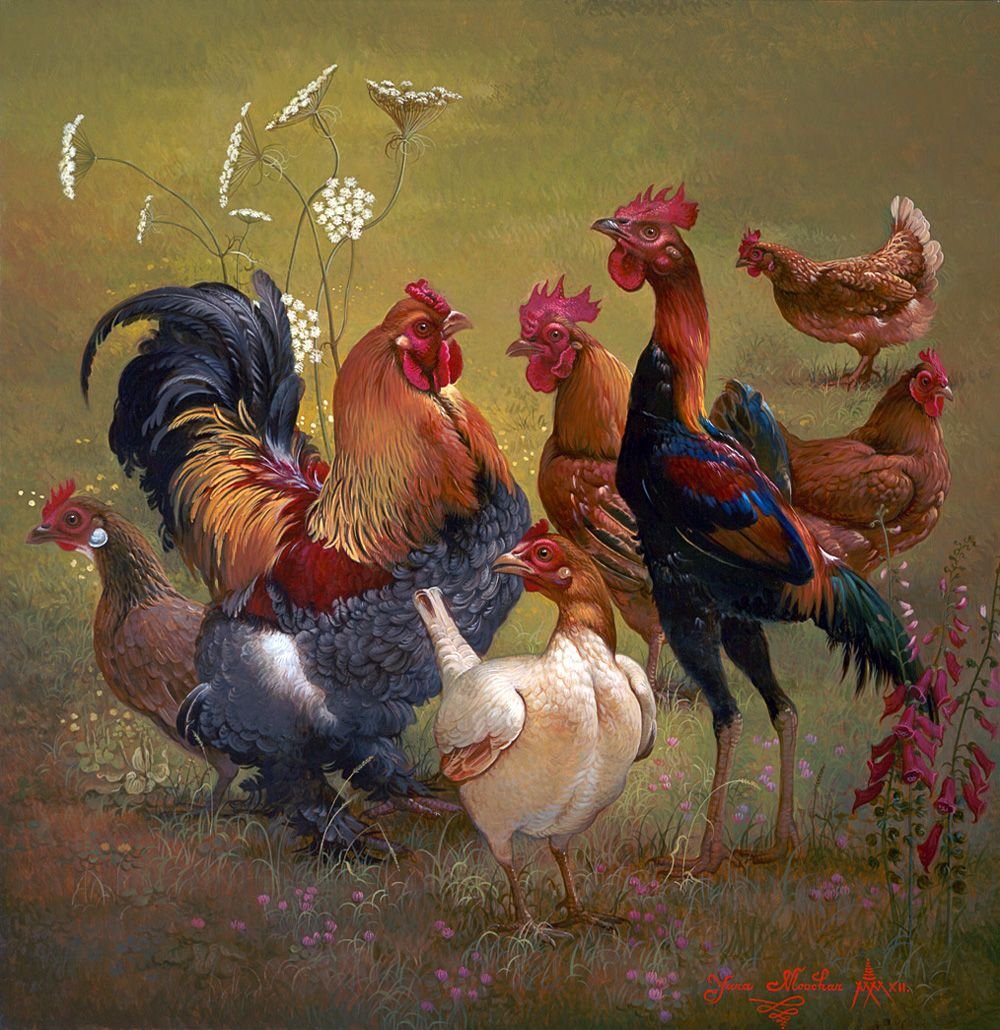 Открытки с курочками