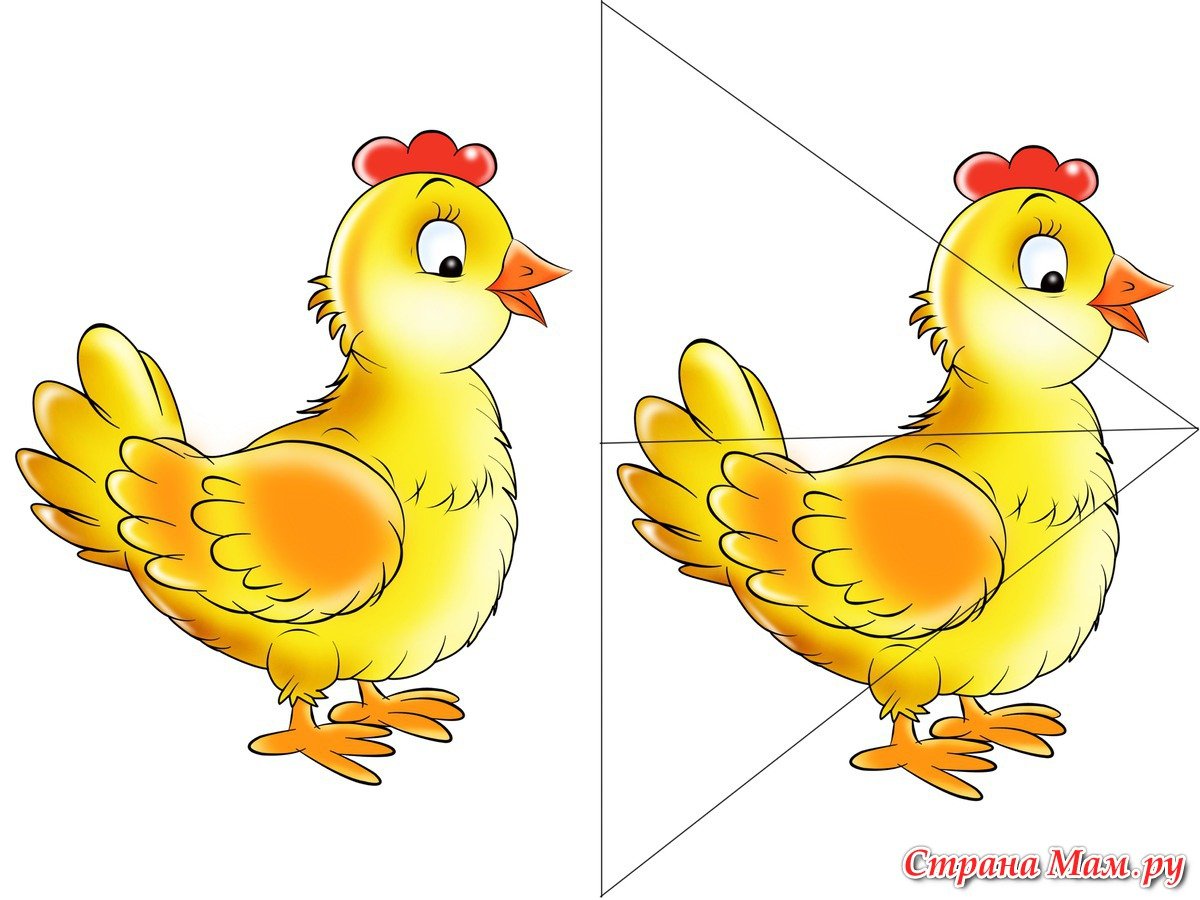 Пазлы домашние птицы