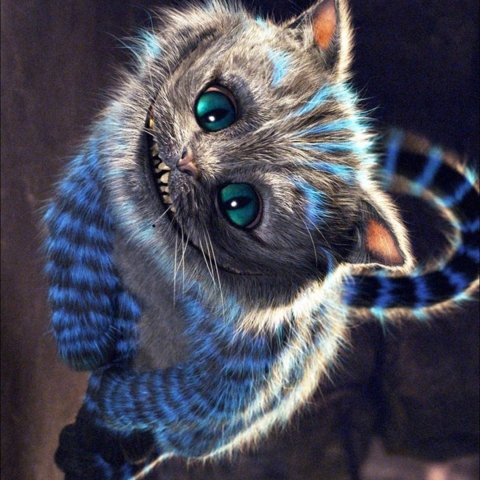 Чешиоский КОТАЛИСА В стране чудес