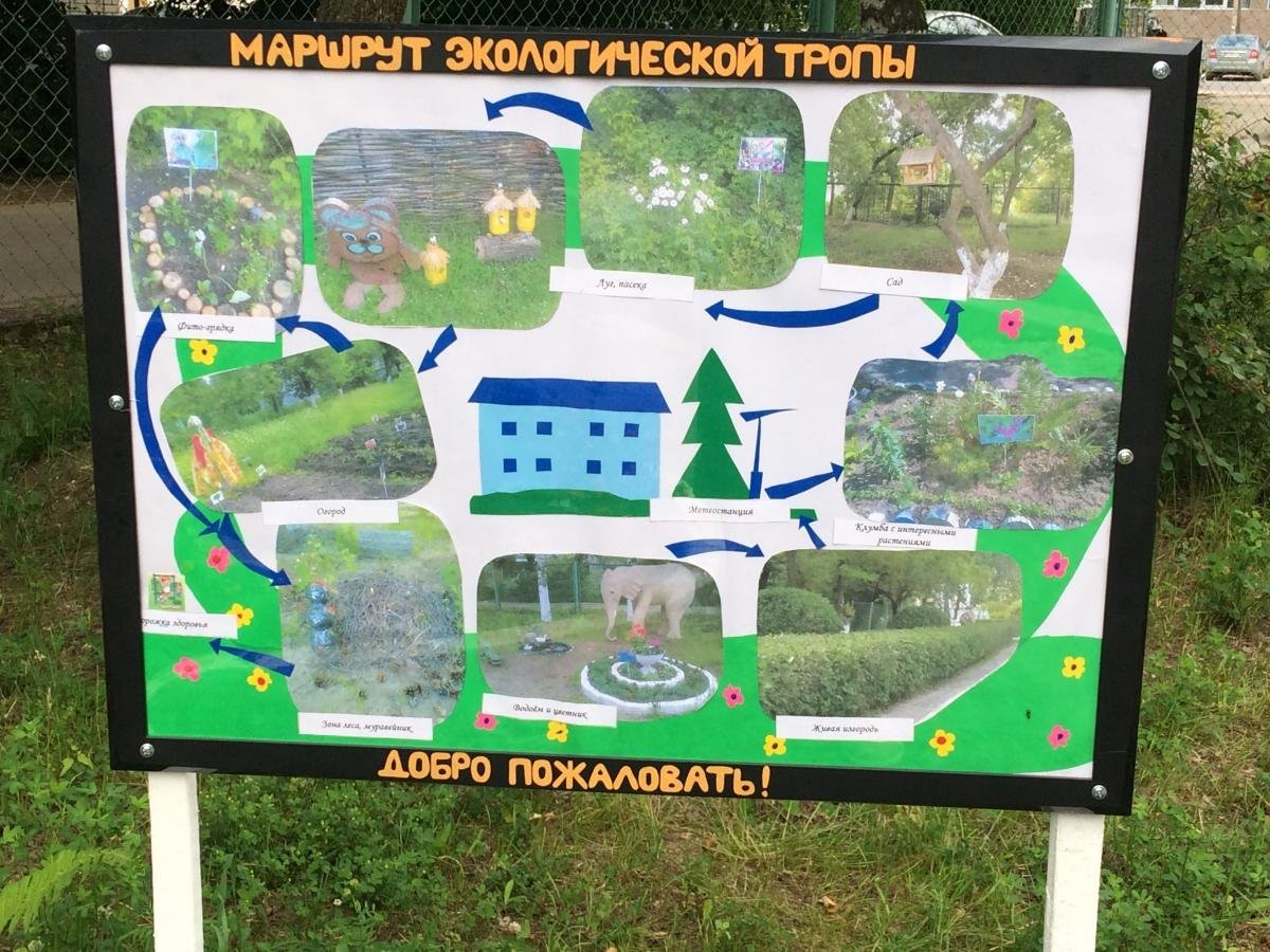 План схема экологической тропы в ДОУ