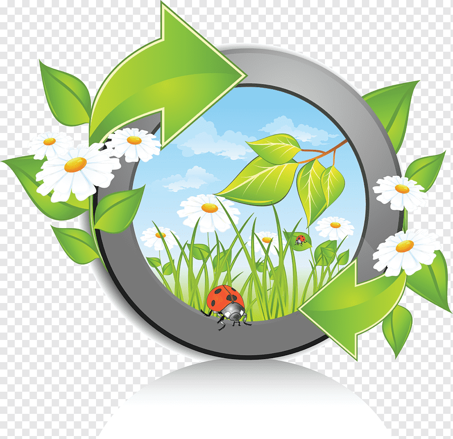 Экологическая тропа