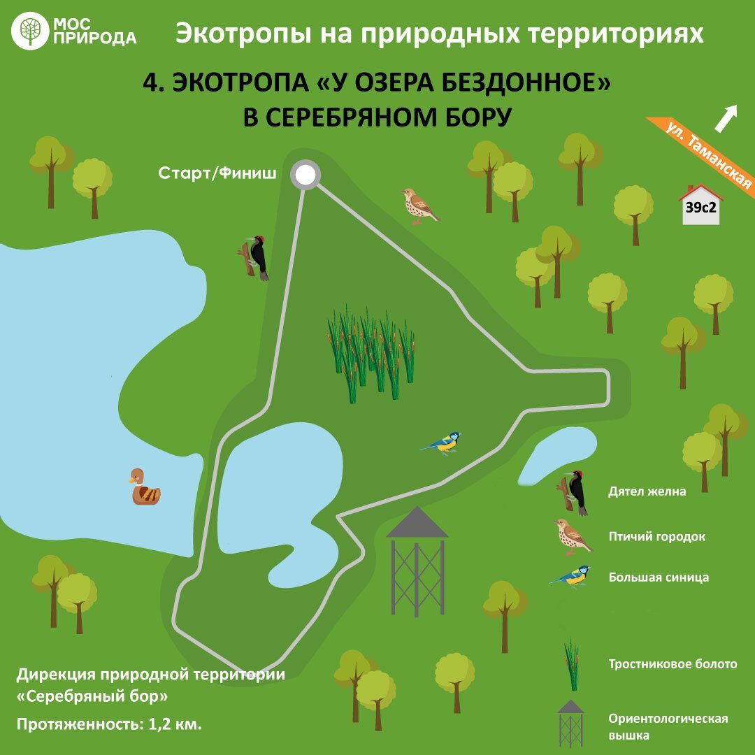 Маршрут экологической тропы