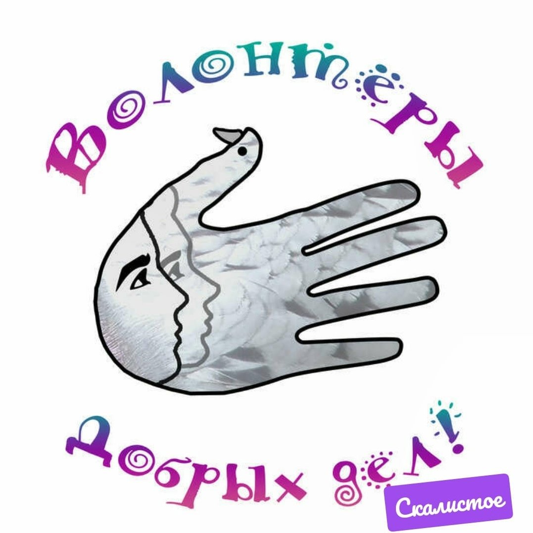 Волонтеры культуры Владимир