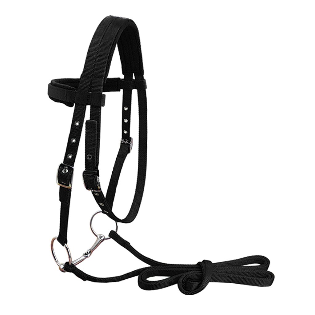 Вожжи для коня