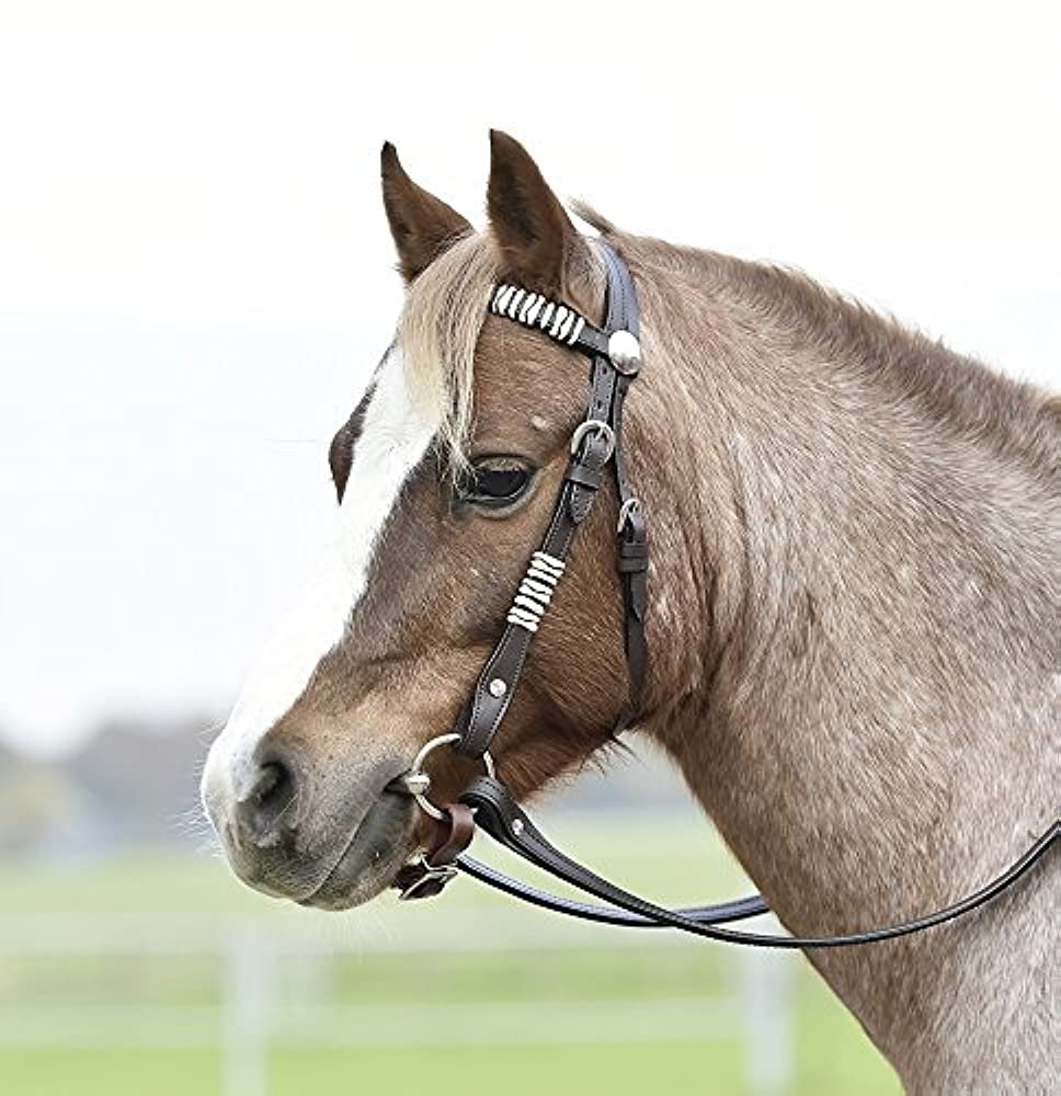 Недоуздок с трензелем