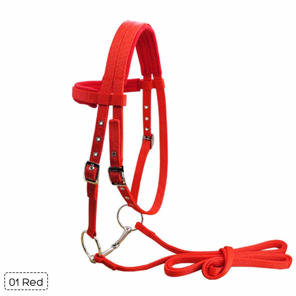 Узда-недоуздок для лошади