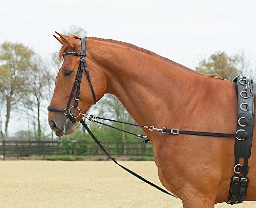 Возжи или вожжи для лошади