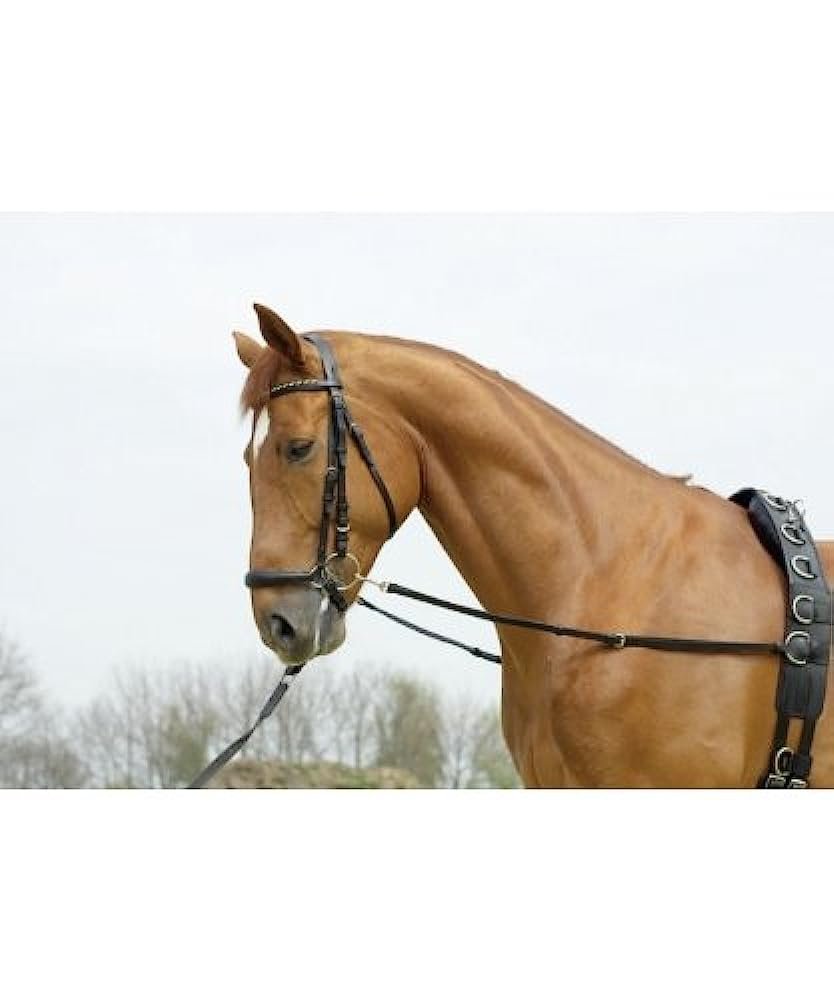 Вожжи для лошади