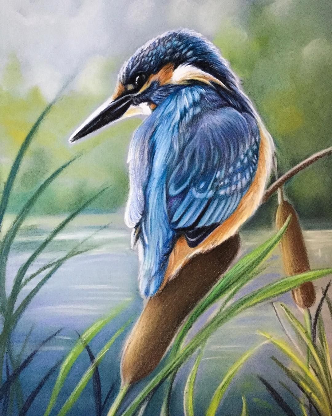 Зимородок живопись