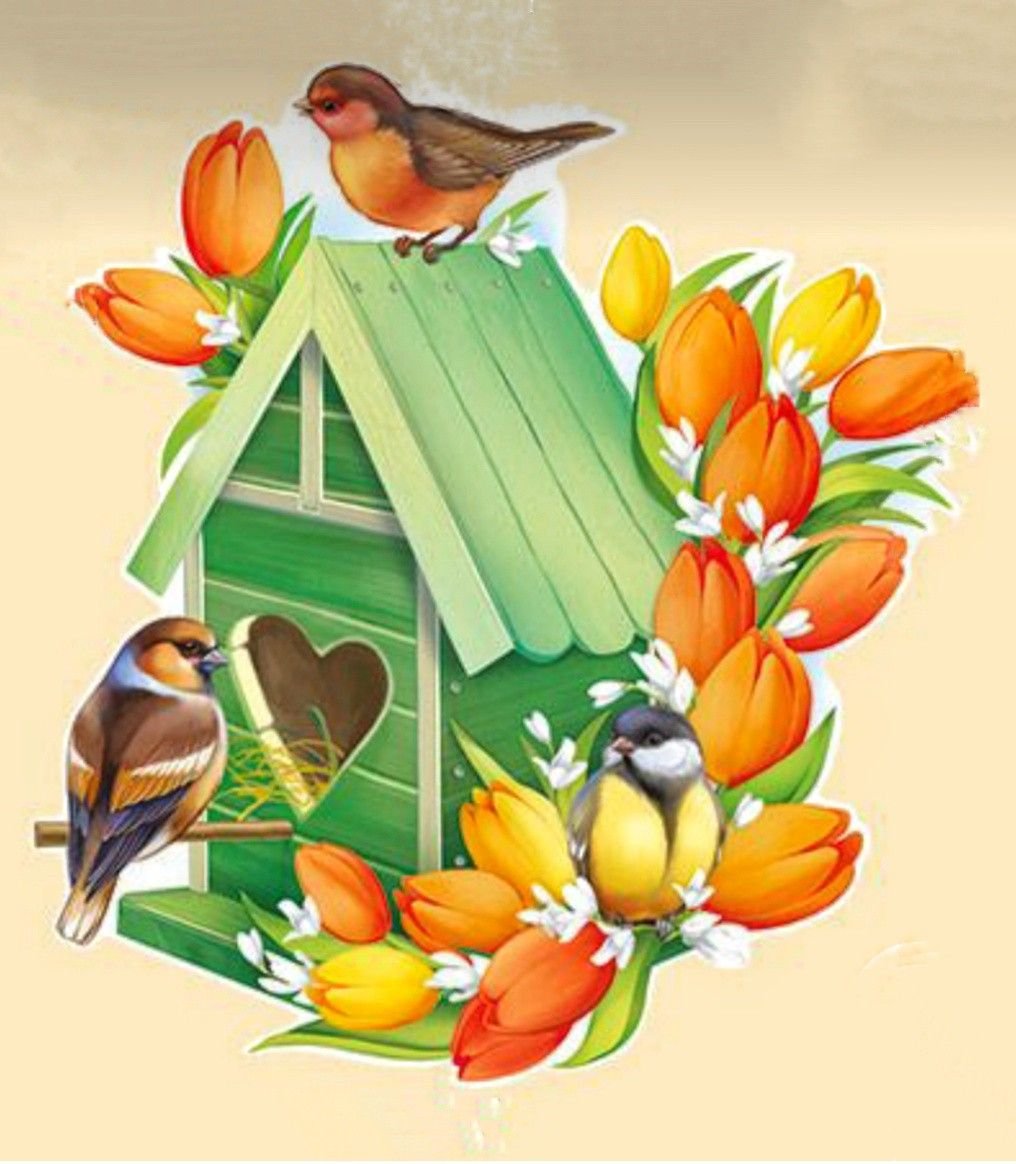 Дерево со скворечником на прозрачном фоне