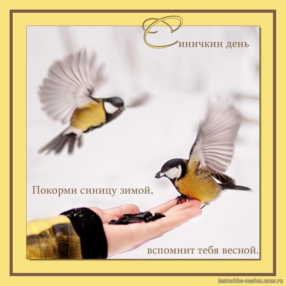 Синичкин день надпись