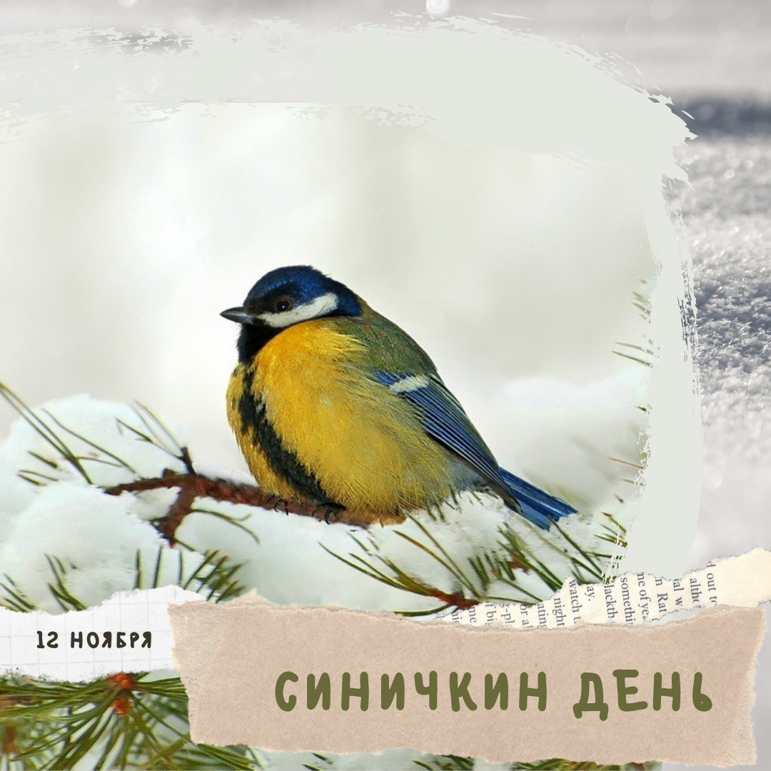 Экологический праздник «Синичкин день»