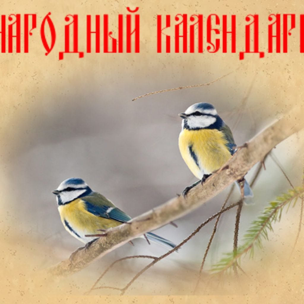 Синичкин день рисунок