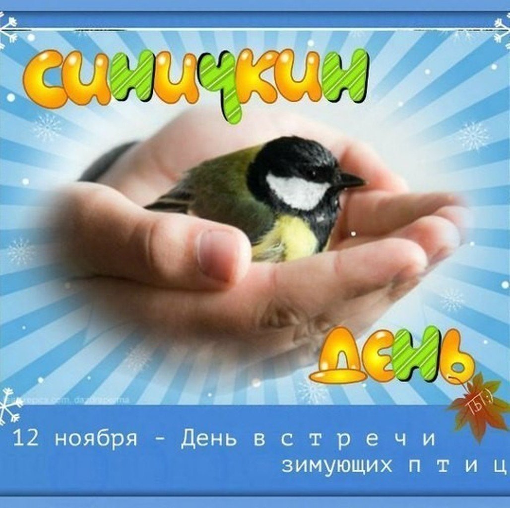 12 Ноября праздник Синичкин день