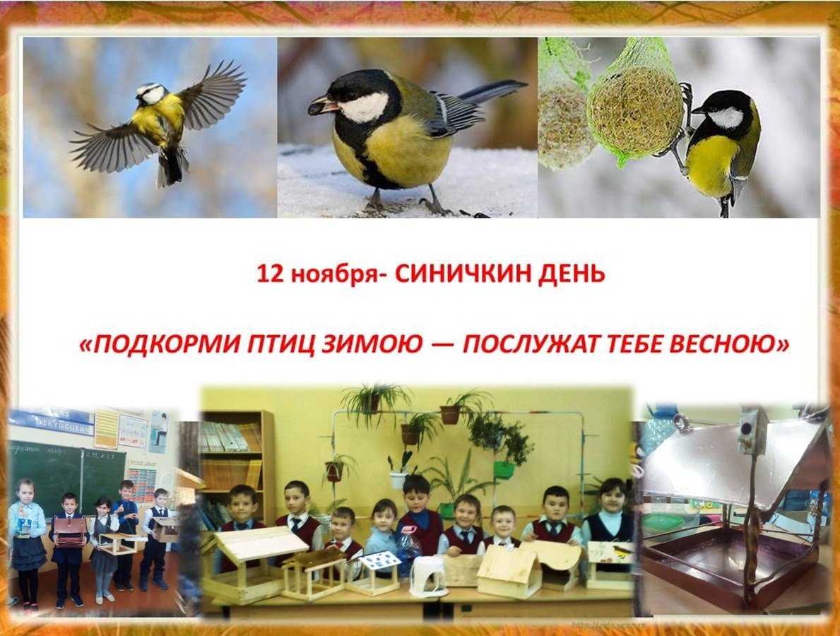 Синичкин день картинки