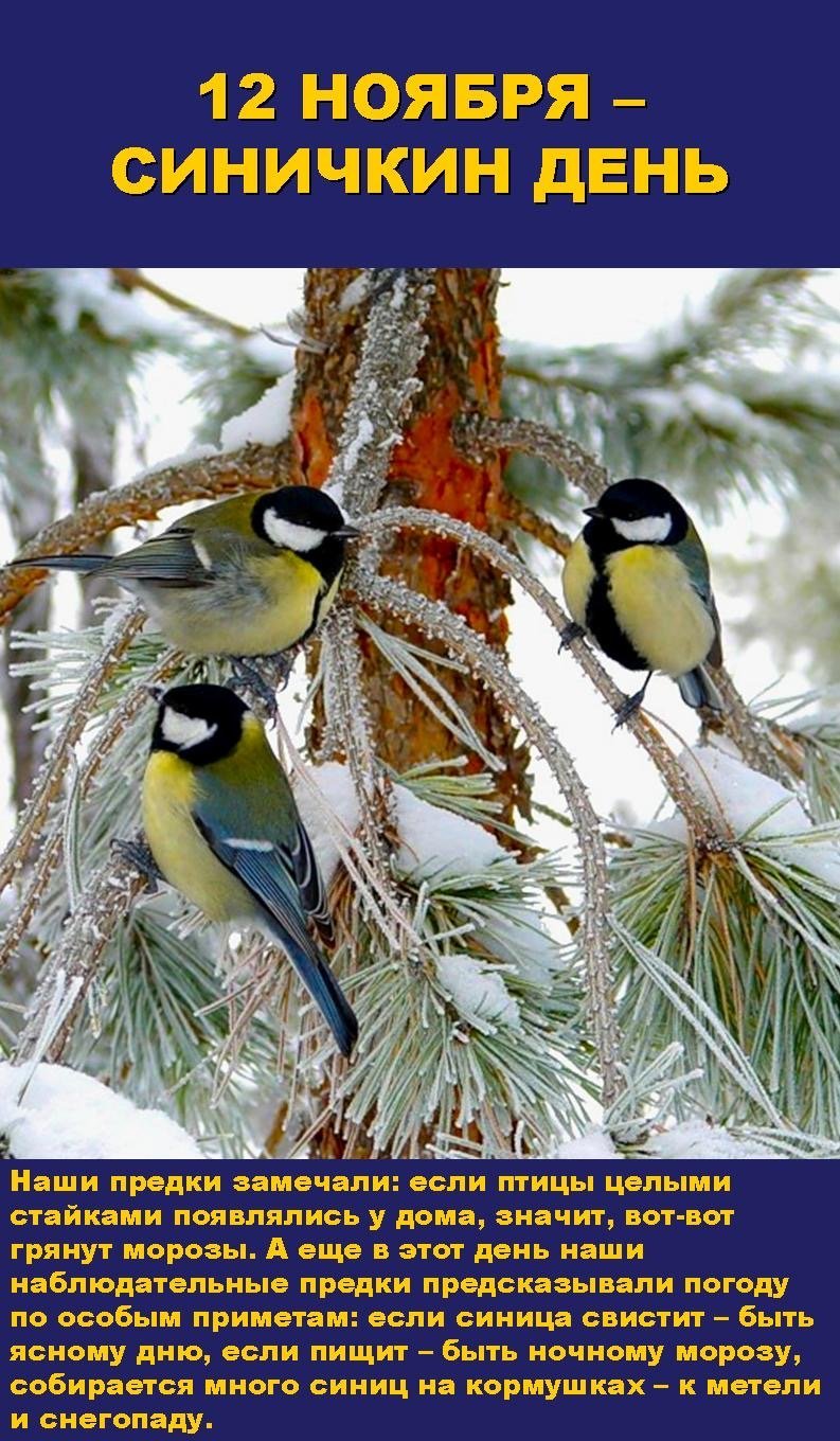 Синичка на веточке