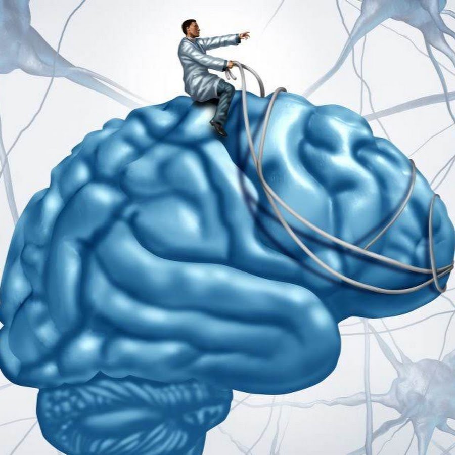 Метапластичность мозга