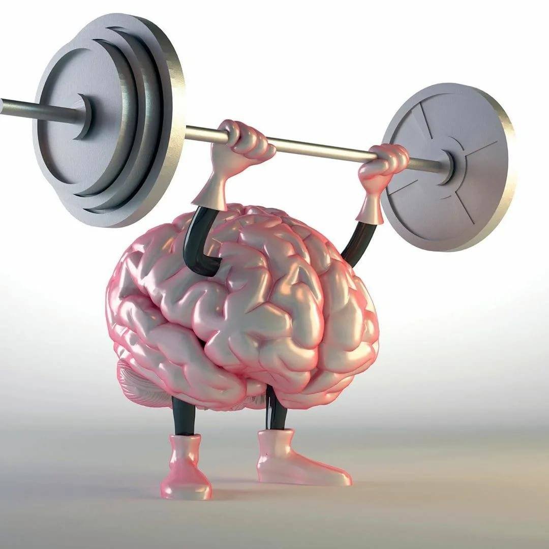 Зарядка для мозга