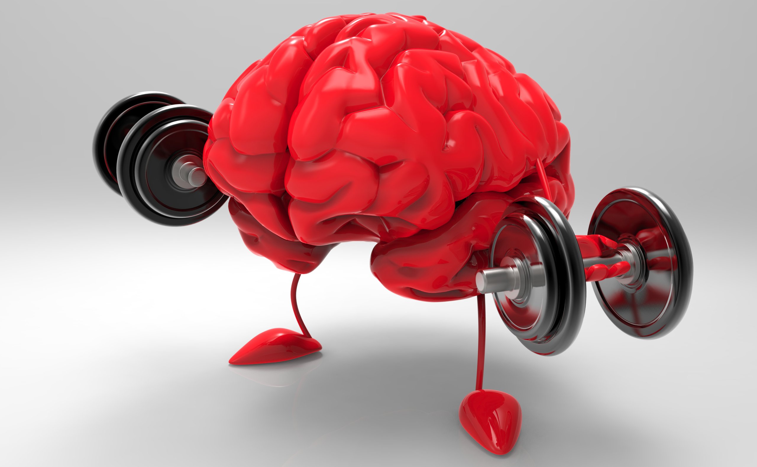 Мозг пластичен. Тренировка мозга. Мозг с гантелей. Спортивный мозг. Спорт и мозг.