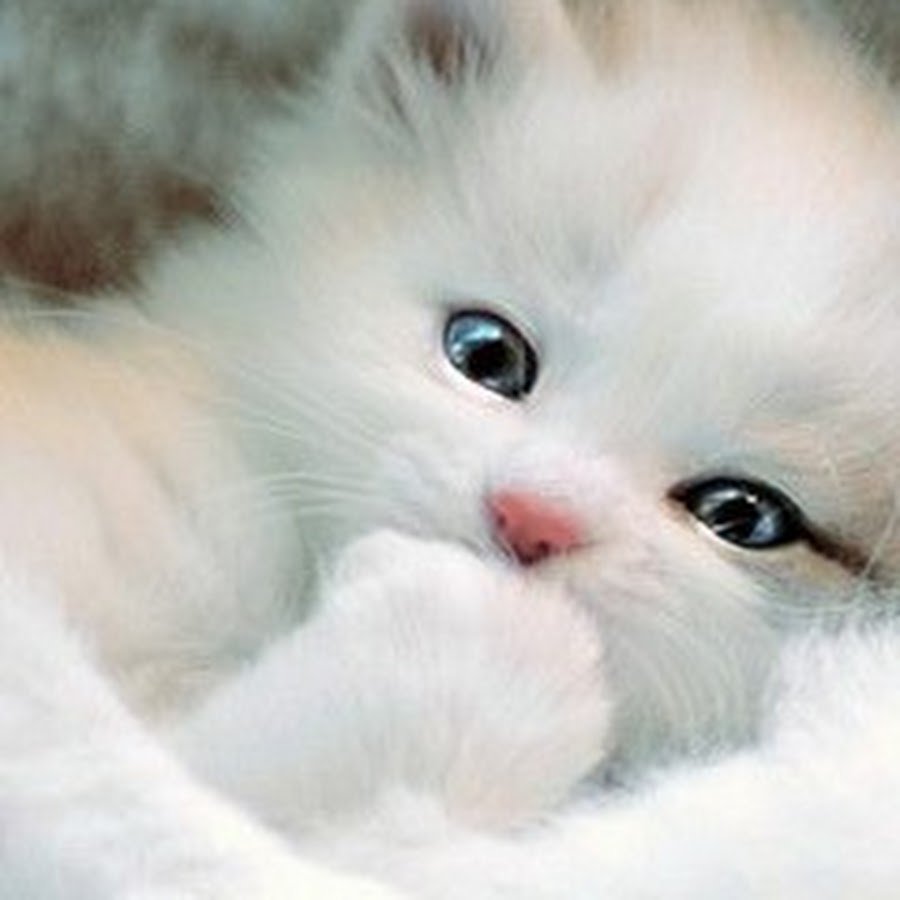 Открытки обнимашки