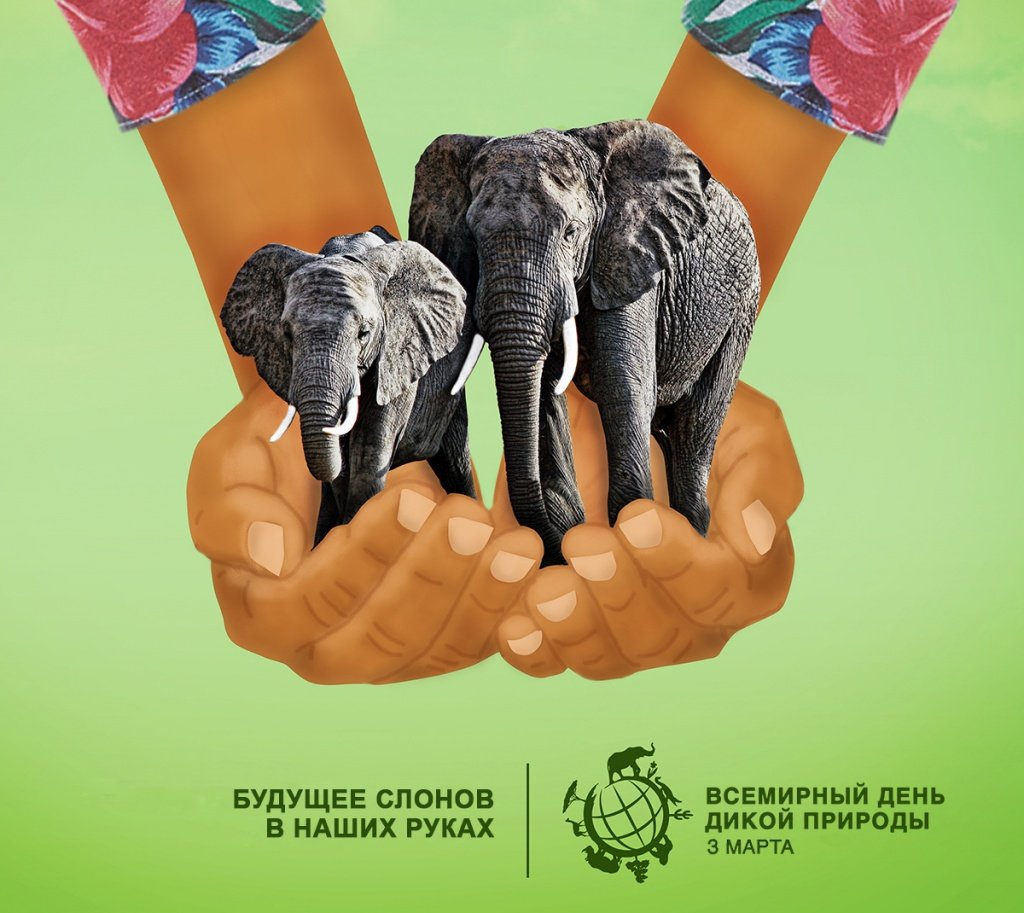 Всемирный знак дикой природы