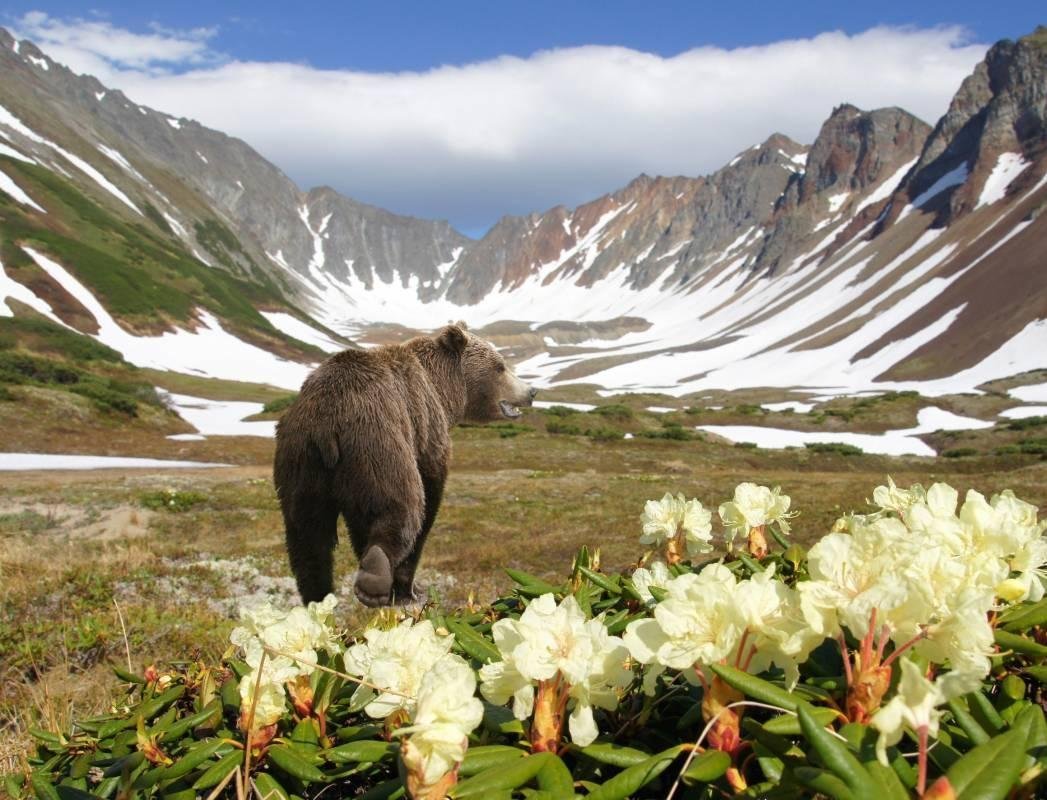 Всемирный день дикой природы